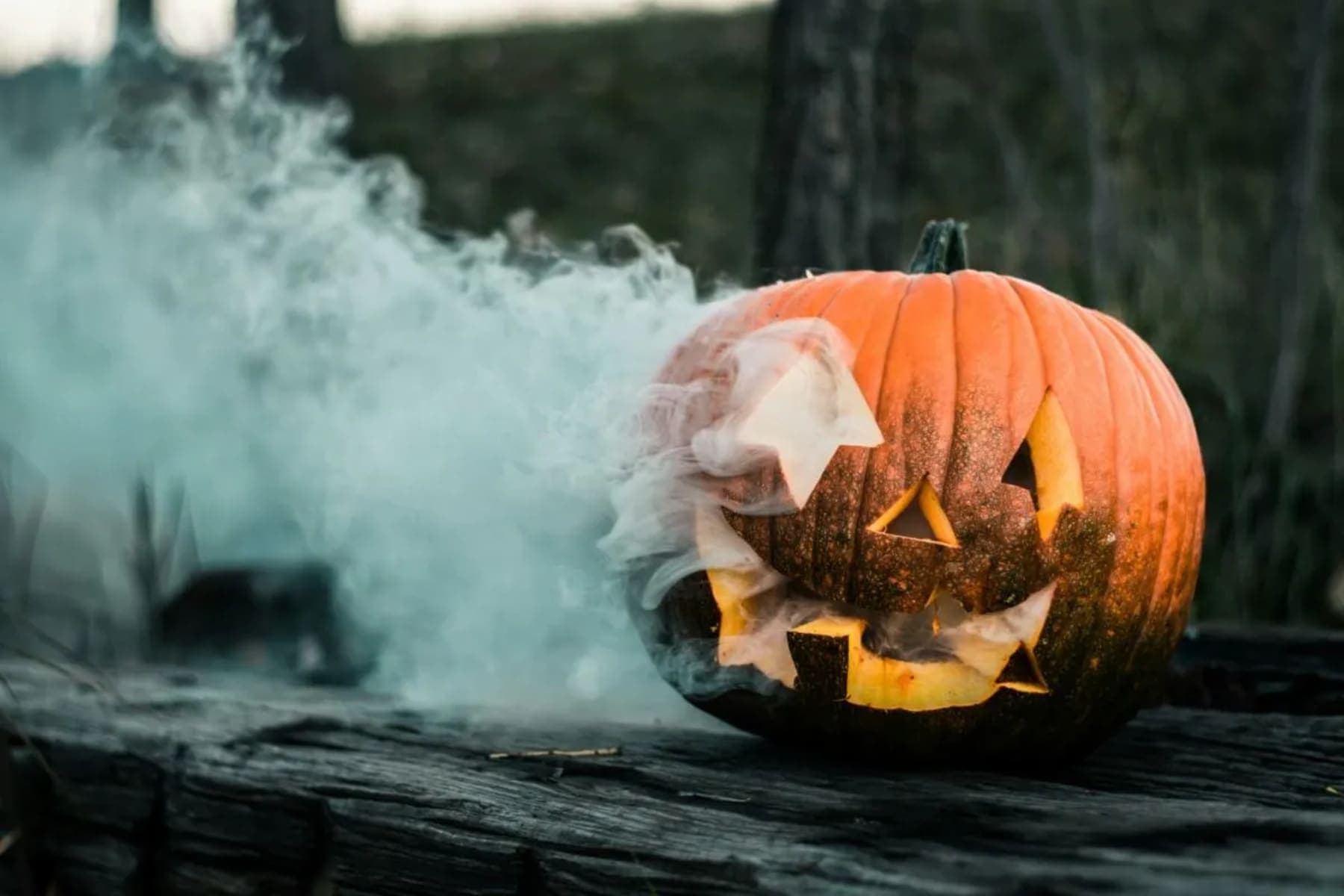 10 Easy DIY Halloween Decor Ideas That Look Aesthetic (Not Scary)